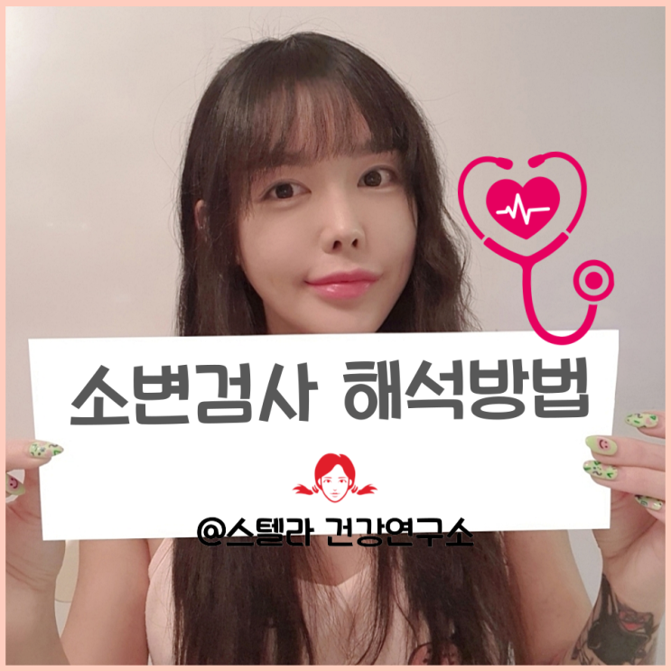  소변 검사 결과 해석 방법과 소변검사로 알수있는것