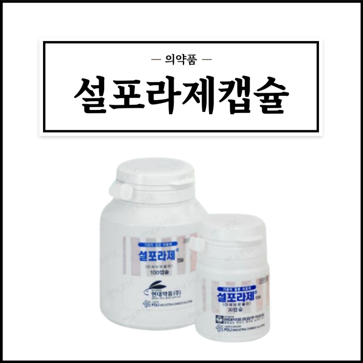  설포라제캡슐, 효능효과/복용법/부작용/주의사항 등 간단정리