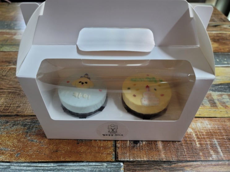  용인 강아지 생일 맞춤 케이크 전문 헬로몽몽 (말티푸 카이 첫 생일 기념) 애견 수제간식 추천 내돈내산