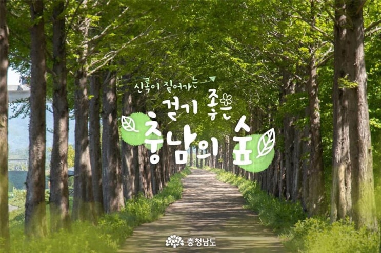충남 가볼만한곳 신록이 짙어가는 걷기 좋은 충남의 숲 | 충남도청페이스북