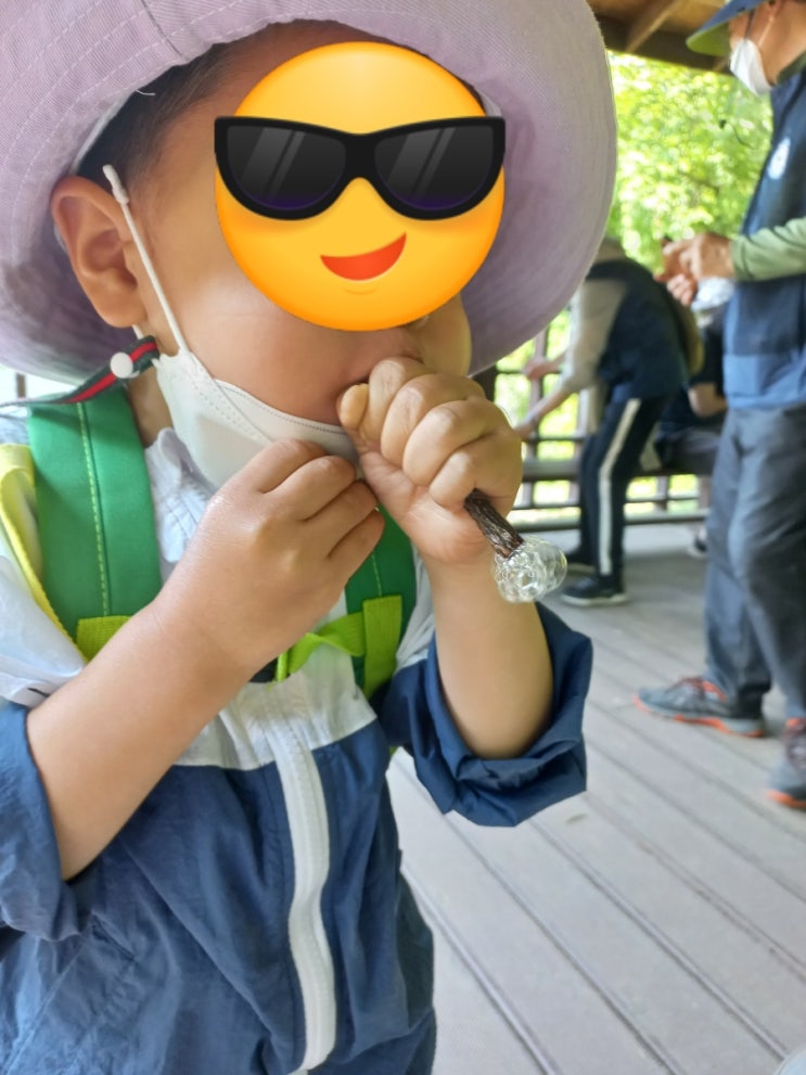  목요일 오금동 숲 체험, 이번에 만난 11가지 자연 이야기 [5세+4세+2세 가정보육_자연놀이터]