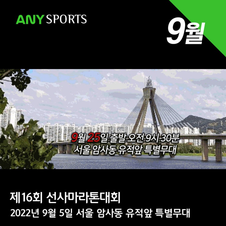  제16회 선사마라톤대회