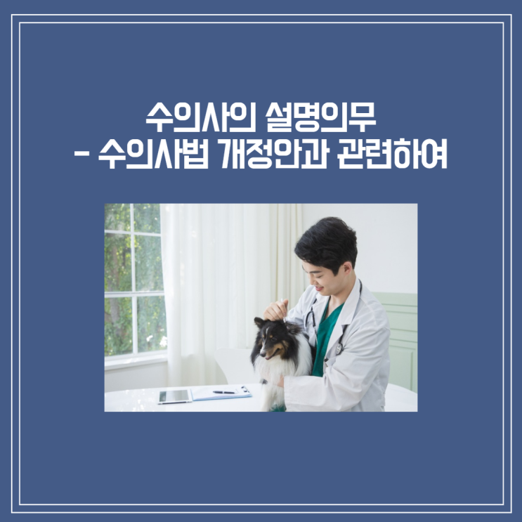  [부산/울산/경남 의료변호사] 수의사의 동물의 수술등중대진료에 관한 설명의무에 대하여(수의사법 개정안 시행일 2022. 7. 5.)