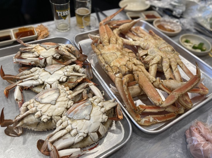  또 노량진 수산시장 - feat. 또량진 제철 봄꽃게 대게 콜라보