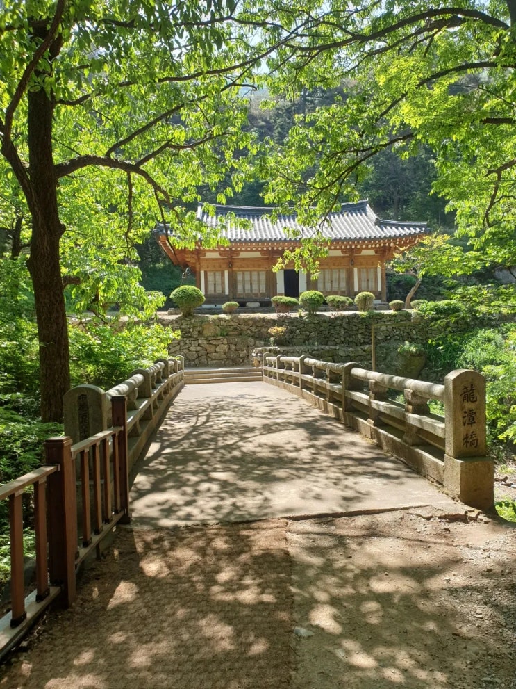  경주 용담정 동학의 발상지이자 천도교의 성지 정갈하고 쉬운 산책길