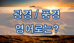  (영어 유의어) '광경 / 풍경' 의 여러 표현들