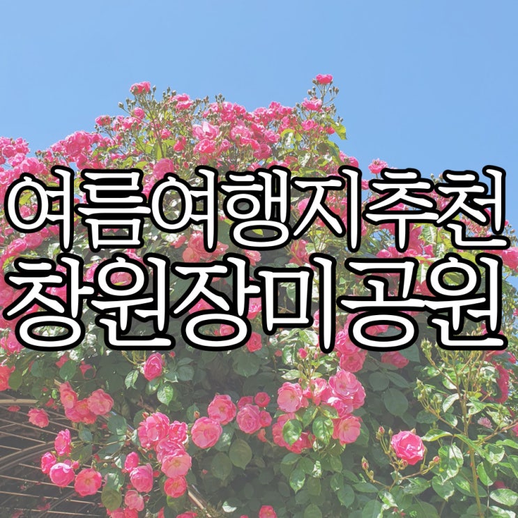  여름여행지 추천 로즈데이에 다녀온 창원장미공원 (+주차 팁)