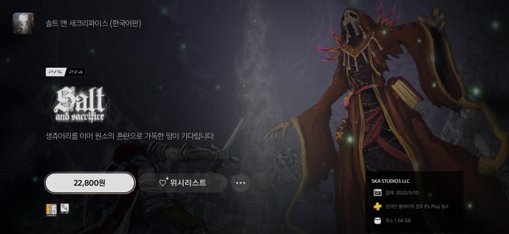  게임 구매일지#9 솔트앤새크리파이스_솔트앤생츄어리 후속작