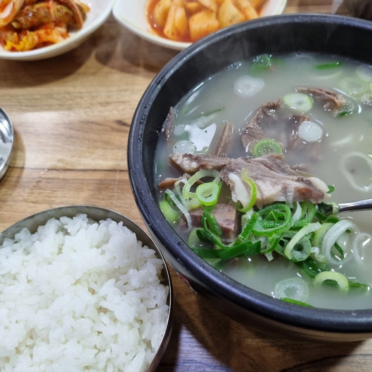  [강릉 성남동] 광덕식당 중앙시장점 : 소머리국밥 현지인 맛집