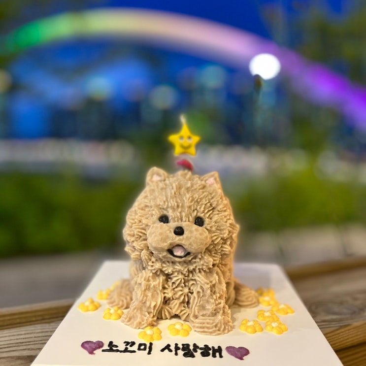 하남 미사 강아지(입체)케이크, 강아지수제간식 베리멍