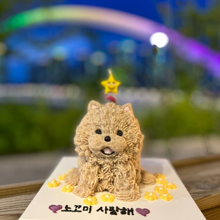  하남 미사 강아지(입체)케이크, 강아지수제간식 베리멍