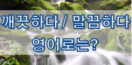  (영어 유의어) '깨끗하다 / 말끔하다' 의 여러 표현들