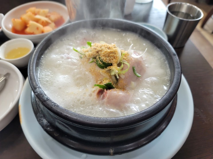  서울역 삼계탕집 고구려삼계탕 내돈내산