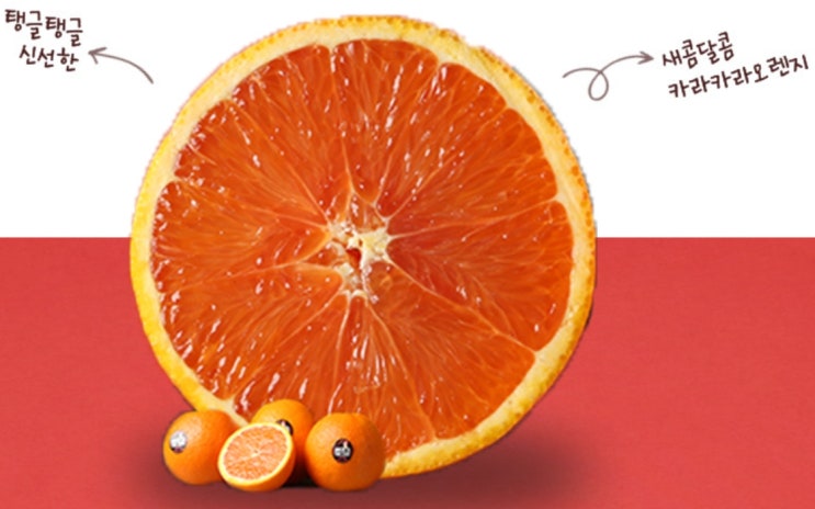 [카라카라 오렌지] 달고 싱싱 터지는 과즙 순삭하는 맛 10개 14,600원 무료배송 구입 후기