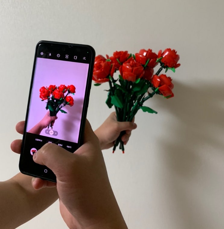 장미 생화 대신에 시들지 않는 장미꽃 레고 구매 장미 생화 대신에 시들지 않는 장미꽃 레고 구매
