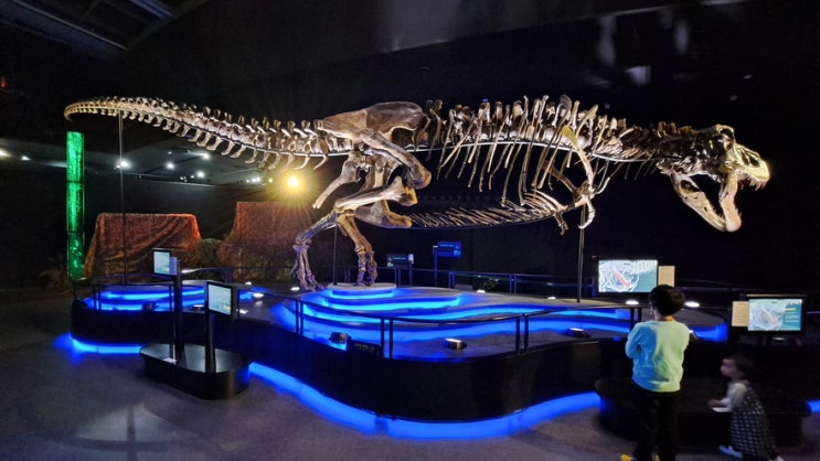 빅토리아 티렉스(VICTORIA T.REX) 전시회는 시설만 깨끗하고 볼건 하나도 없네요 빅토리아 티렉스(VICTORIA T.REX) 전시회는 시설만 깨끗하고 볼건 하나도 없네요