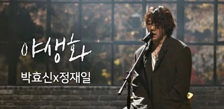 박효신 야생화 (피아노 정재일) 노래 가사 및 곡정보 _ 남자 고음 노래 2010년대 히트곡 남자 발라드 추천 (ft. JTBC 음악 예능 너의 노래는 라이브 무대 영상)
