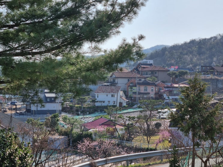 세종시 장군면 전원주택단지 청벽전원마을