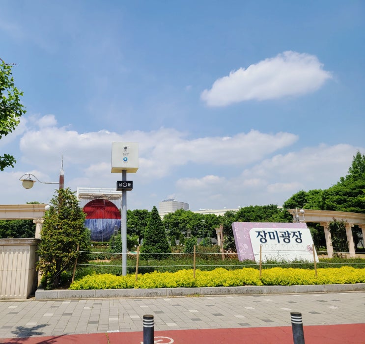  서울 송파, 5호선) 방이역 들꽃마루 양귀비, 유채꽃 올림픽공원 장미공원 장미개화