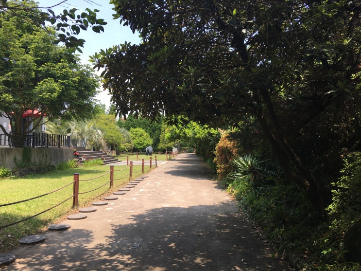  [제주도] 빛의벙커-고성오일장-성산일출봉-광치기해변