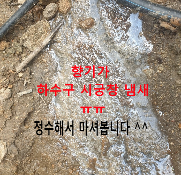 우리집 지하수 헬~정수 (세균+녹물++검은물+기름물+하수구냄새) 이 물 먹는물로 정수해서 마셔봄. 우리집 지하수 헬~정수 (세균+녹물++검은물+기름물+하수구냄새) 이 물 먹는물로 정수해서 마셔봄.