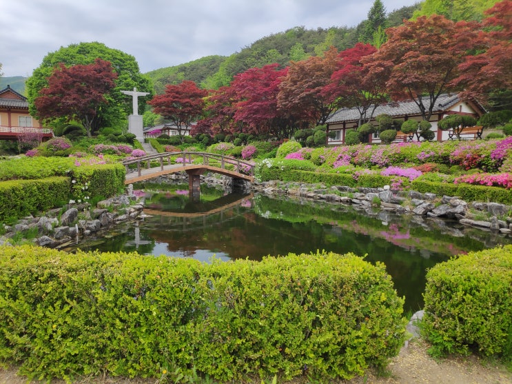 [제천] 배론성지 천주교 성지순례 푸른 자연 속 산책코스 잘 가꿔진 신성한 정원