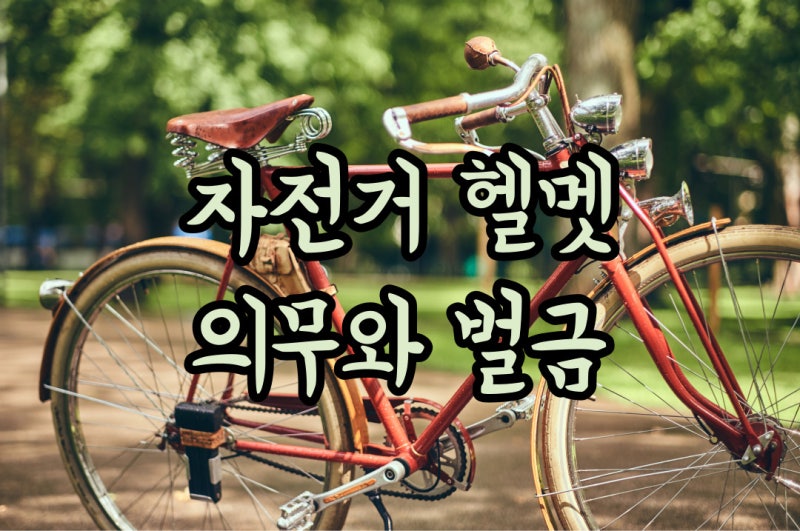 자전거 헬뱃 벌금
