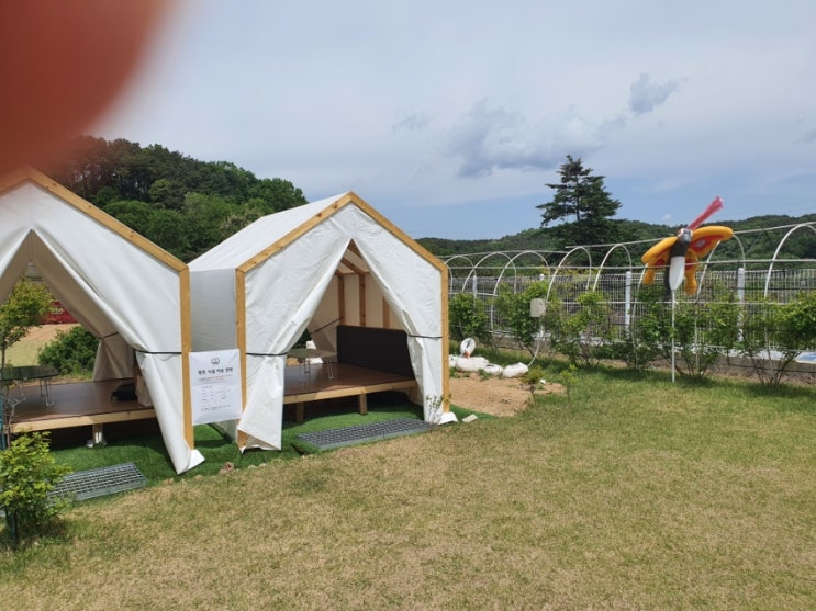  용인 카페 신기로