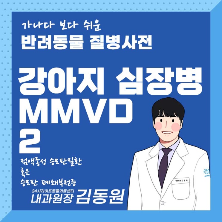 대구 심장 전문 동물병원 : 강아지 심장병 MMVD 알아보기! 강아지 심장병 이렇게 관리합니다