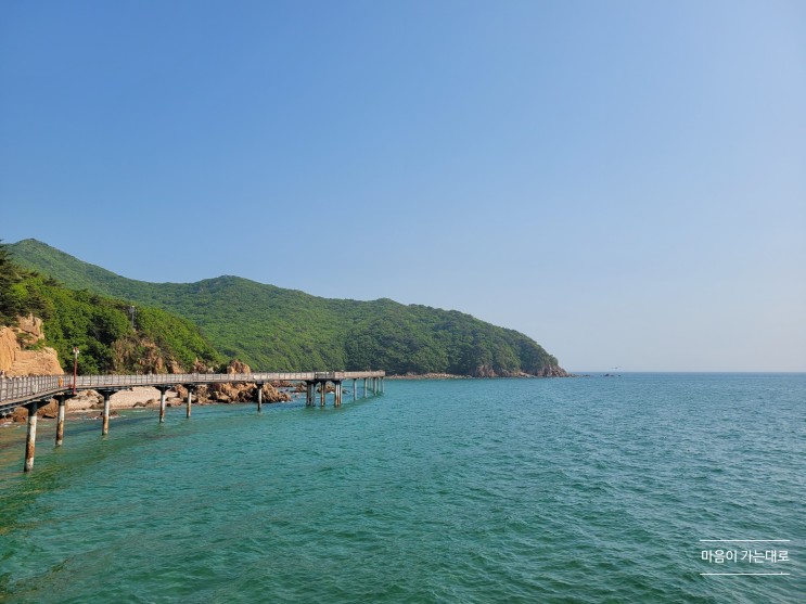 서울근교 인천바다 무의도 하나개해수욕장 해상관광탐방로 다녀왔습니다.