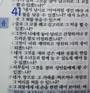 욥의 시련(욥기) 41장 욥의 시련(욥기) 41장