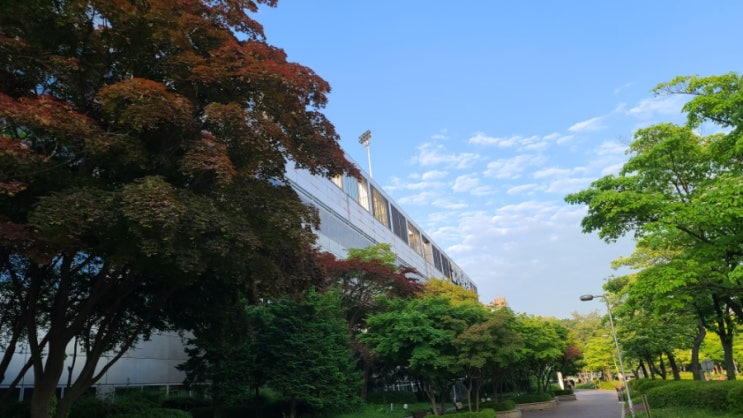  서울삼성병원 숙소 일원동 걸어서 5분거리 호텔보다 싸고 좋다