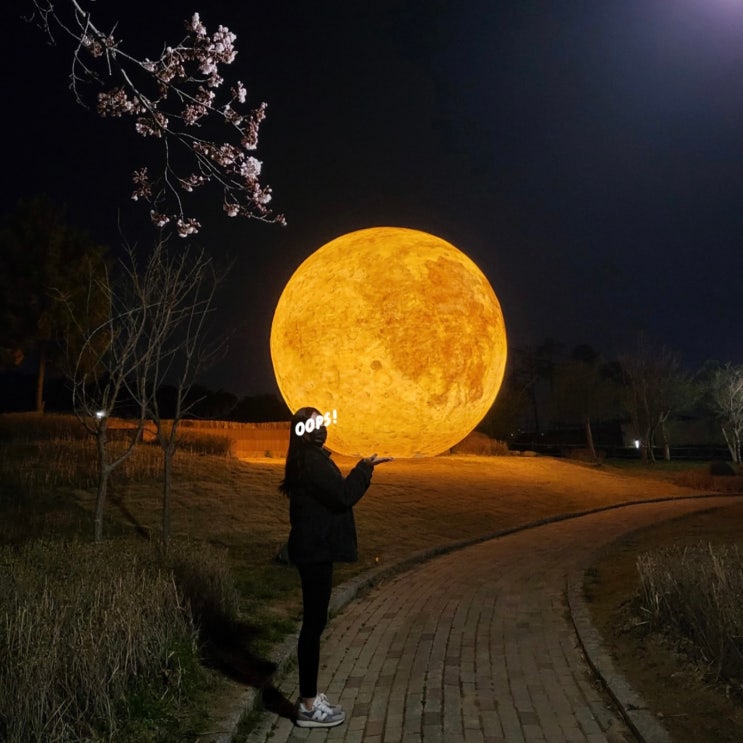  강릉 경포호 보름달 | photo zone