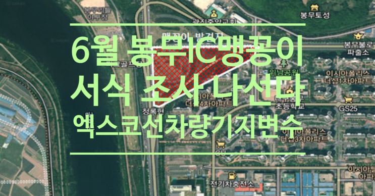  6월 봉무IC 맹꽁이 서식 조사 나선다...엑스코선 차량기지 변수될까