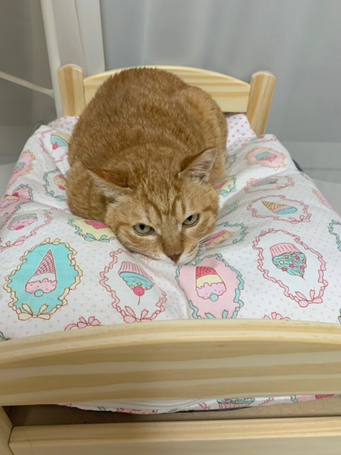 고양이 침대로 사용 가능한 이케아 원목 인형침대 후기