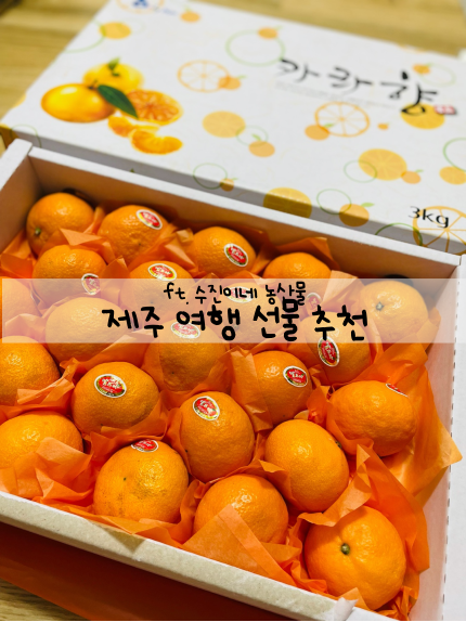  [제주 여행 선물 추천] 카라향 '제주 수진이네'