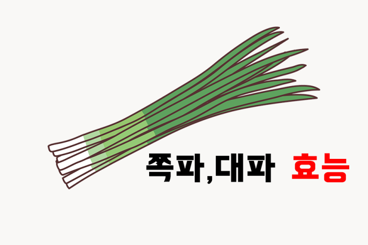  쪽파,대파효능