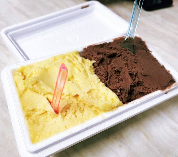  의정부 젤라또 쫀득하고 맛난 젤라또로플