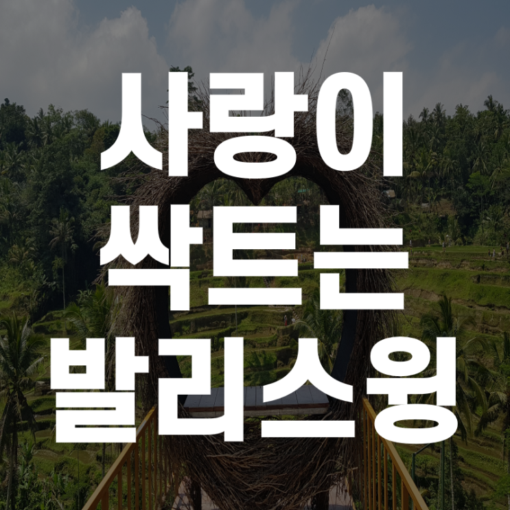  사랑이 싹 트는 발리스윙 (feat. 뜨갈랄랑 발리그네)