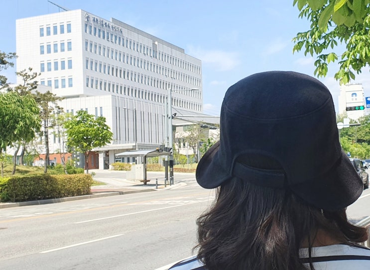  대전 음주 운전과 알콜 치료 확인서 소회