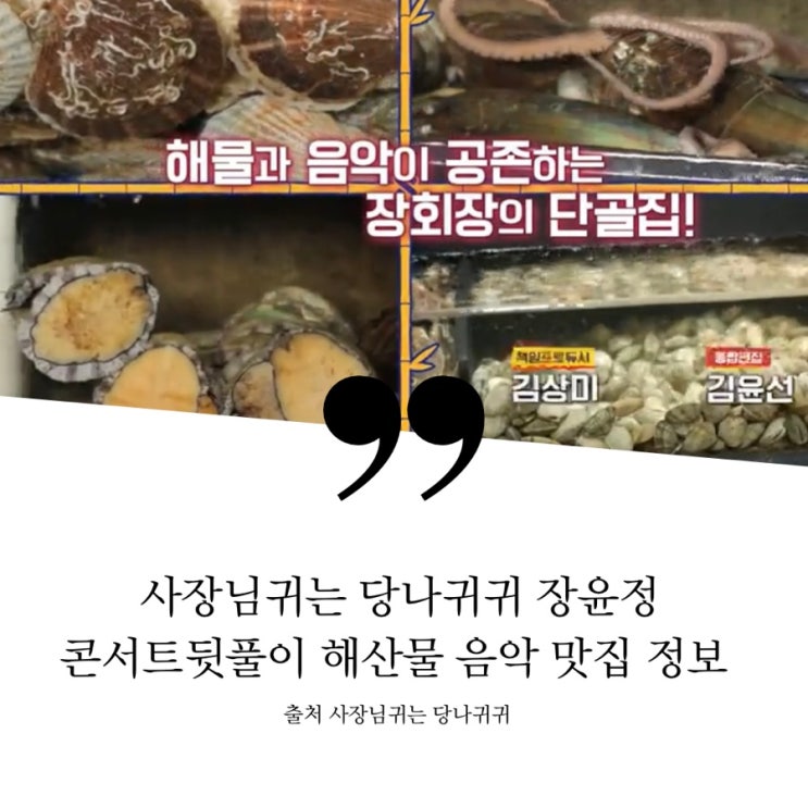  사장님귀는당나귀귀 5월15일 방송 장윤정 단골 찐단골집 콘서트 뒷풀이 낮술 홍합탕 해물모둠한상 해산물모듬 마포 맛집 정보 해신탕 산낙지 가리비 문어숙회 쭈꾸미숙회