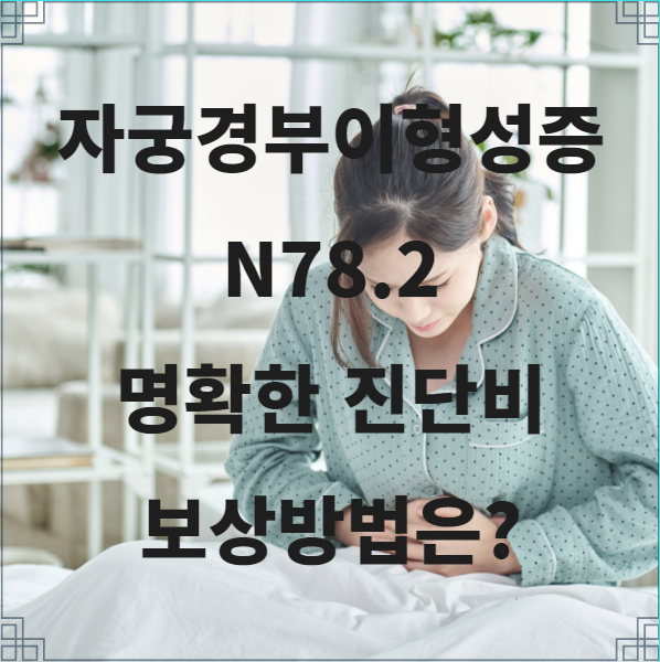  자궁경부이형성증 N782 CIN 명확한 진단비 보상방법