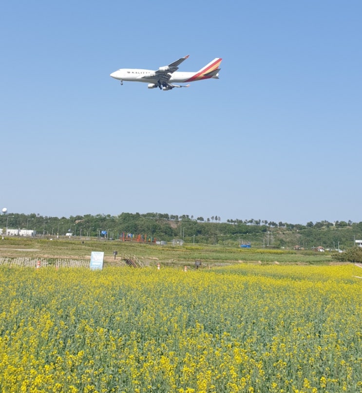 인천공항 해외입국자 음성확인서 제출기준 변경(PCR,신속항원검사):5/23일 및 입국후 검사 완화:6월1일~ 인천공항 해외입국자 음성확인서 제출기준 변경(PCR,신속항원검사):5/23일 및 입국후 검사 완화:6월1일~