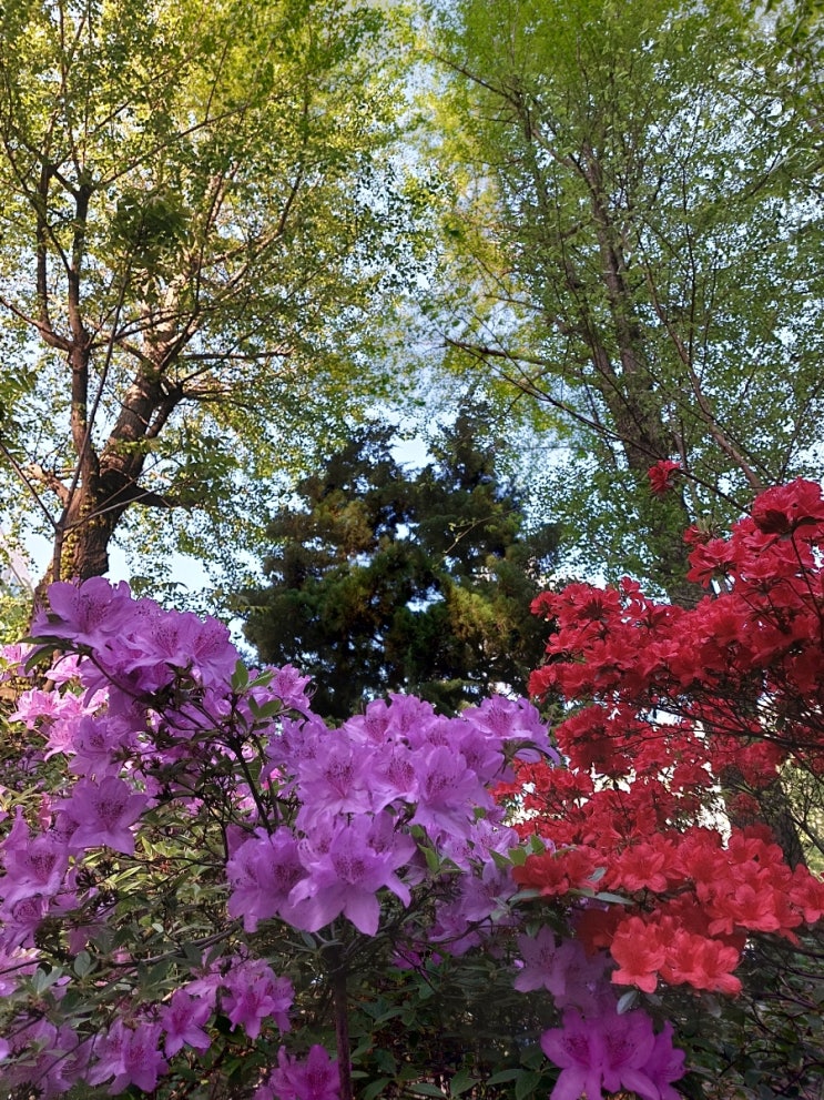 <Gospel Song> 그 사랑 가사 피아노 반주 <Gospel Song> 그 사랑 가사 피아노 반주