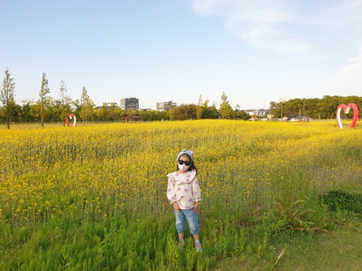  평택 유채꽃밭 데이트 산책_ 신상 송담 근린공원 놀이터