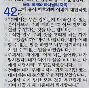 욥의 시련(욥기) 42장 욥의 시련(욥기) 42장