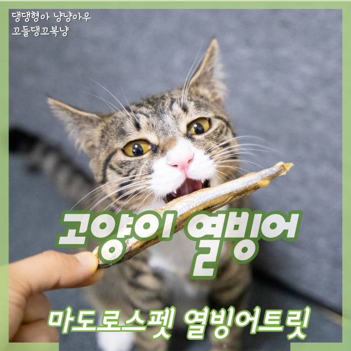  고양이 열빙어 꼬복이도 잘 먹는 마도로스펫 동결건조간식