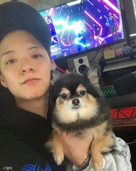 [스타와 펫] 에프엑스 엠버, 똑 닮은 반려견 '잭잭이'와 사랑스러운 투샷 공개