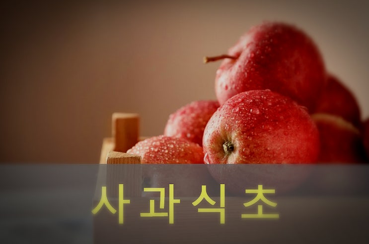  천연발효 사과 식초 효능과 주의사항