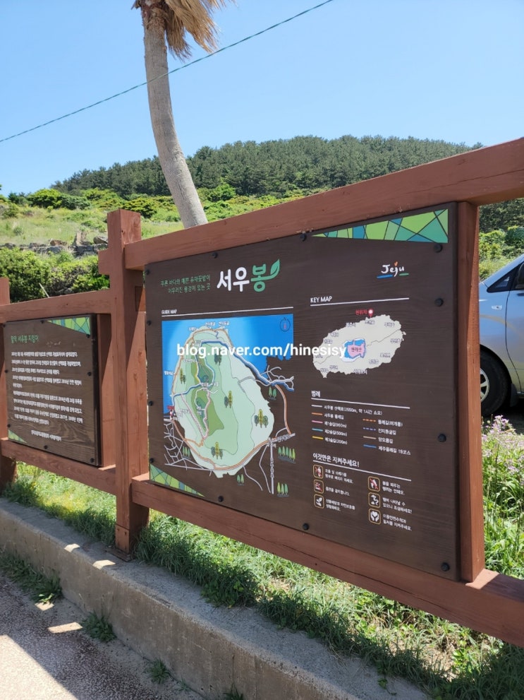  5월 제주도 여행 서우봉 에메랄드빛 바다 산책 정보